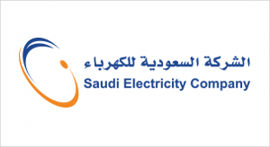 SAUDI ELECTRICITY COMPANY